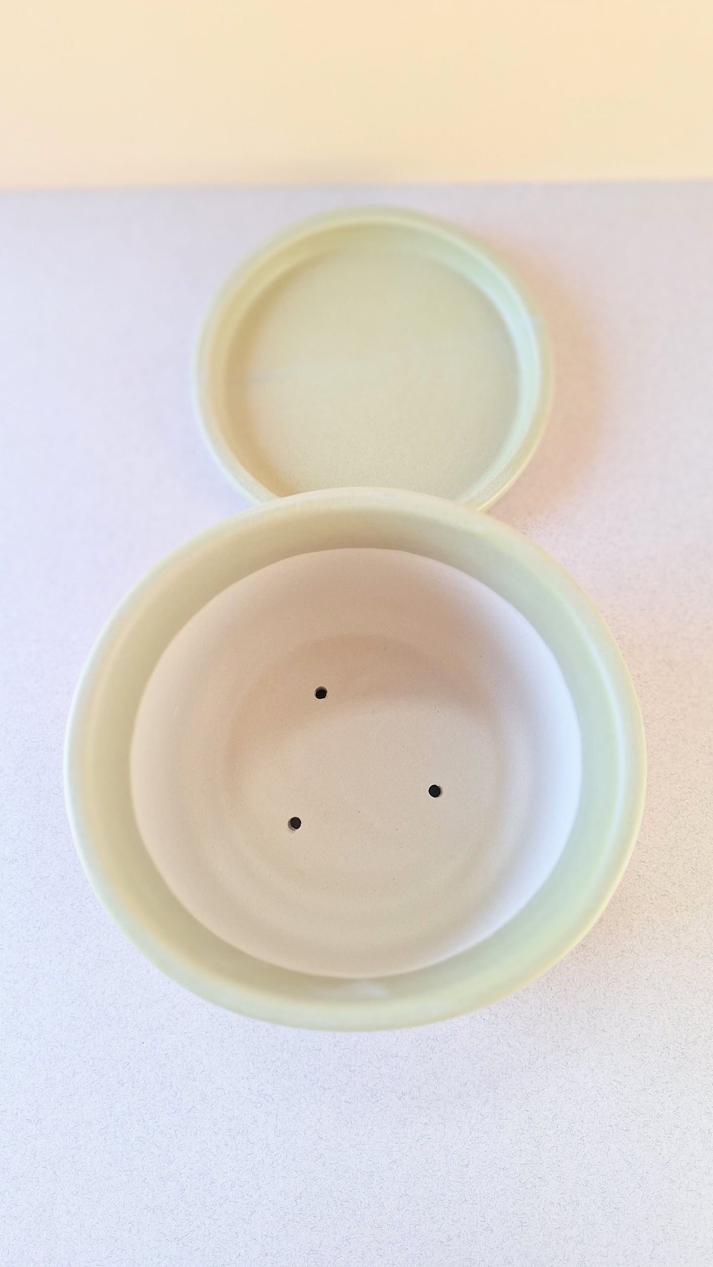 Small Monoprint Planter (Avocado/Henna/Mustard)