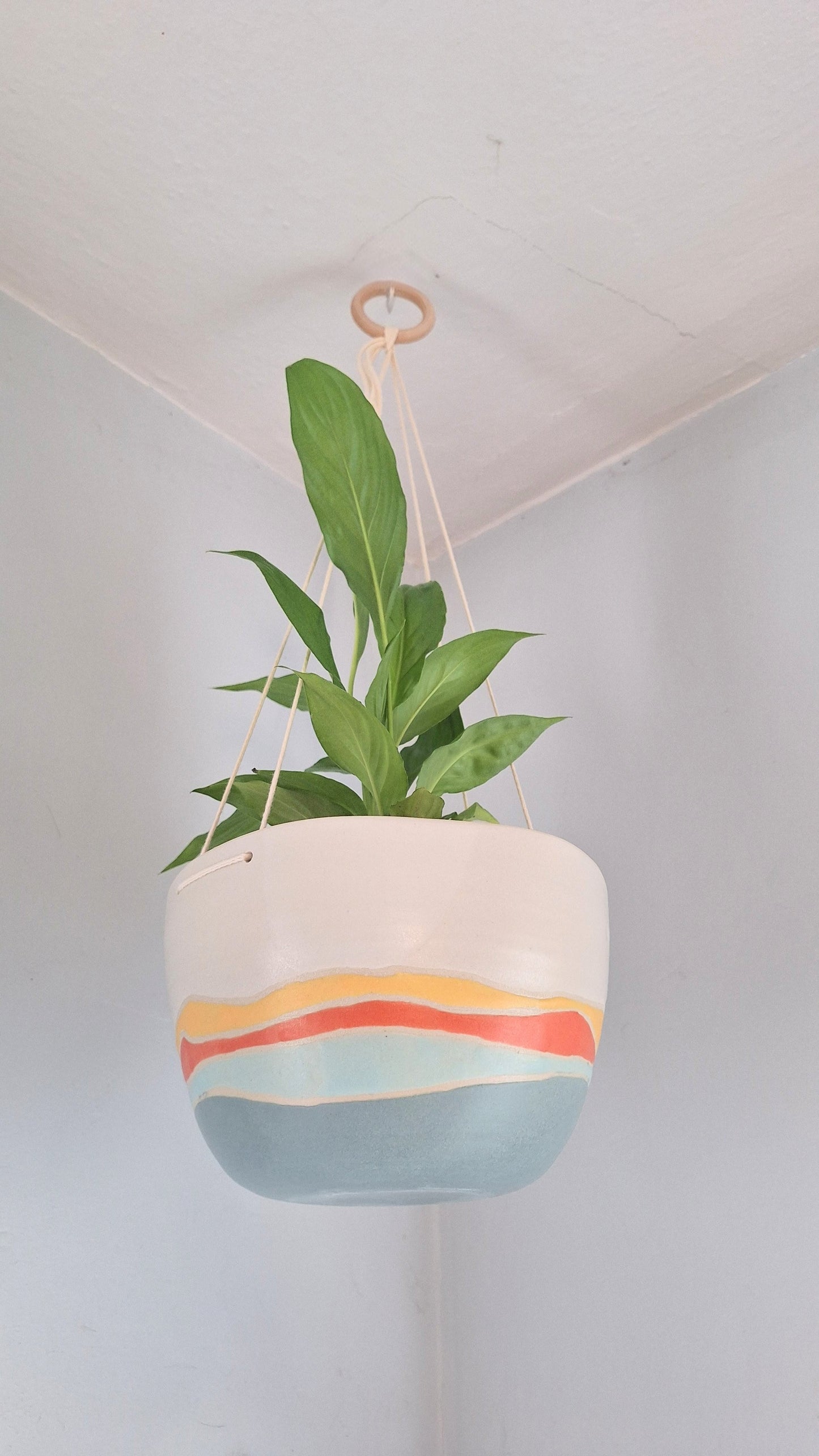 Bright Landscape Hanging Planter