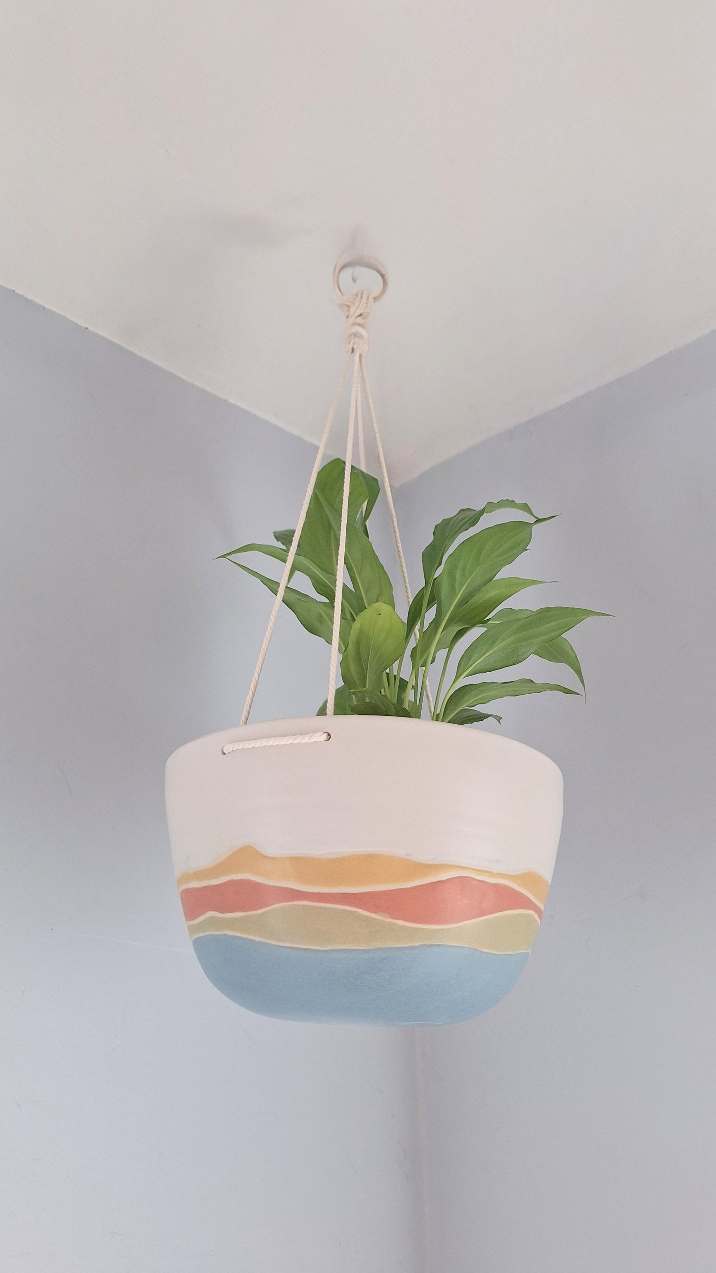 Landscape Hanging Planter