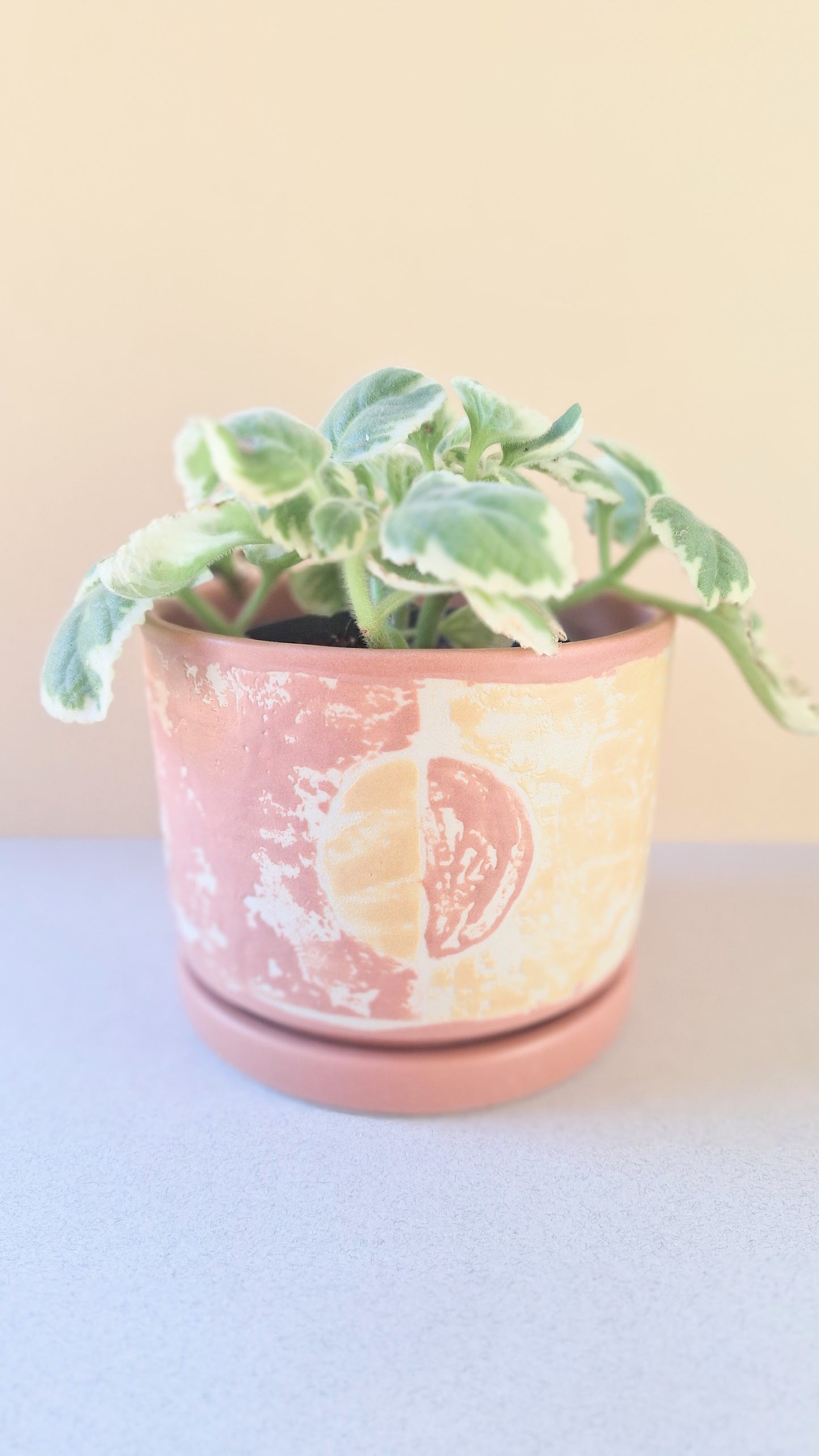 Small Monoprint Planter (Henna/Mustard)