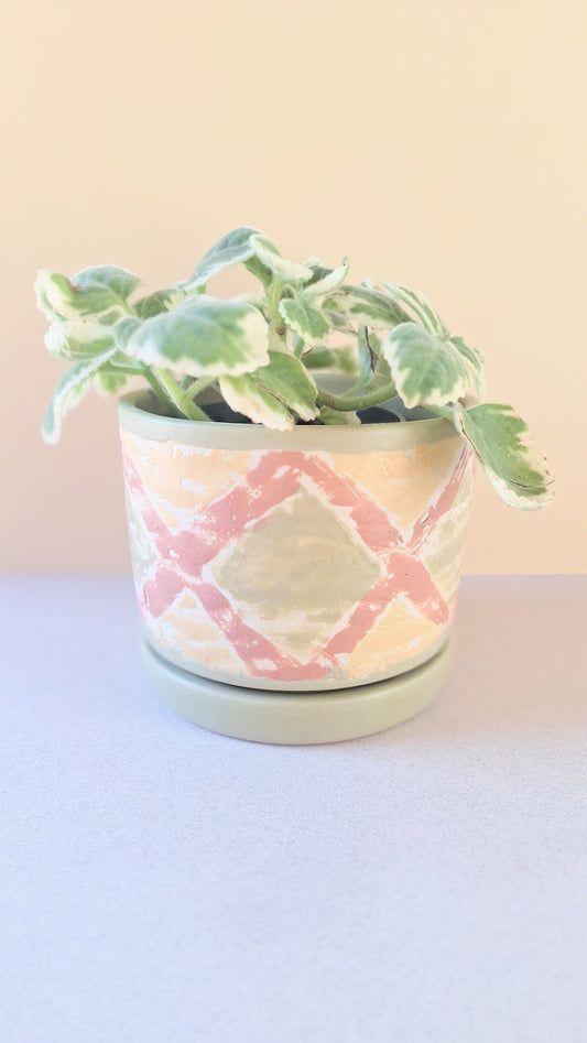 Small Monoprint Planter (Avocado/Henna/Mustard)