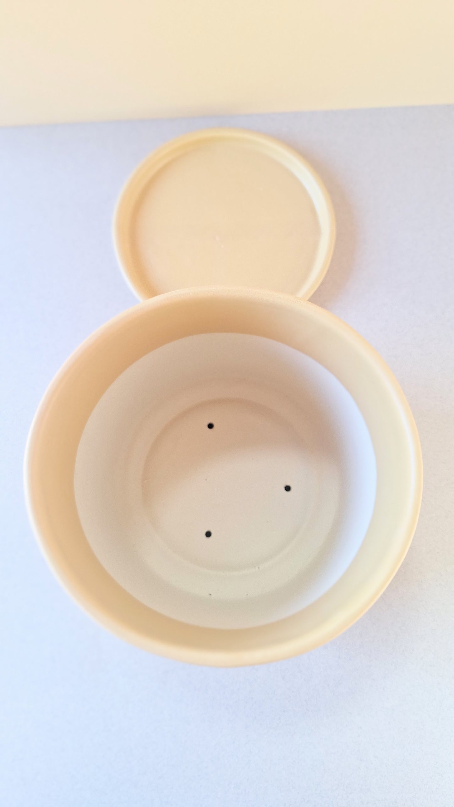 Large Monoprint Planter (Multi Stripe)