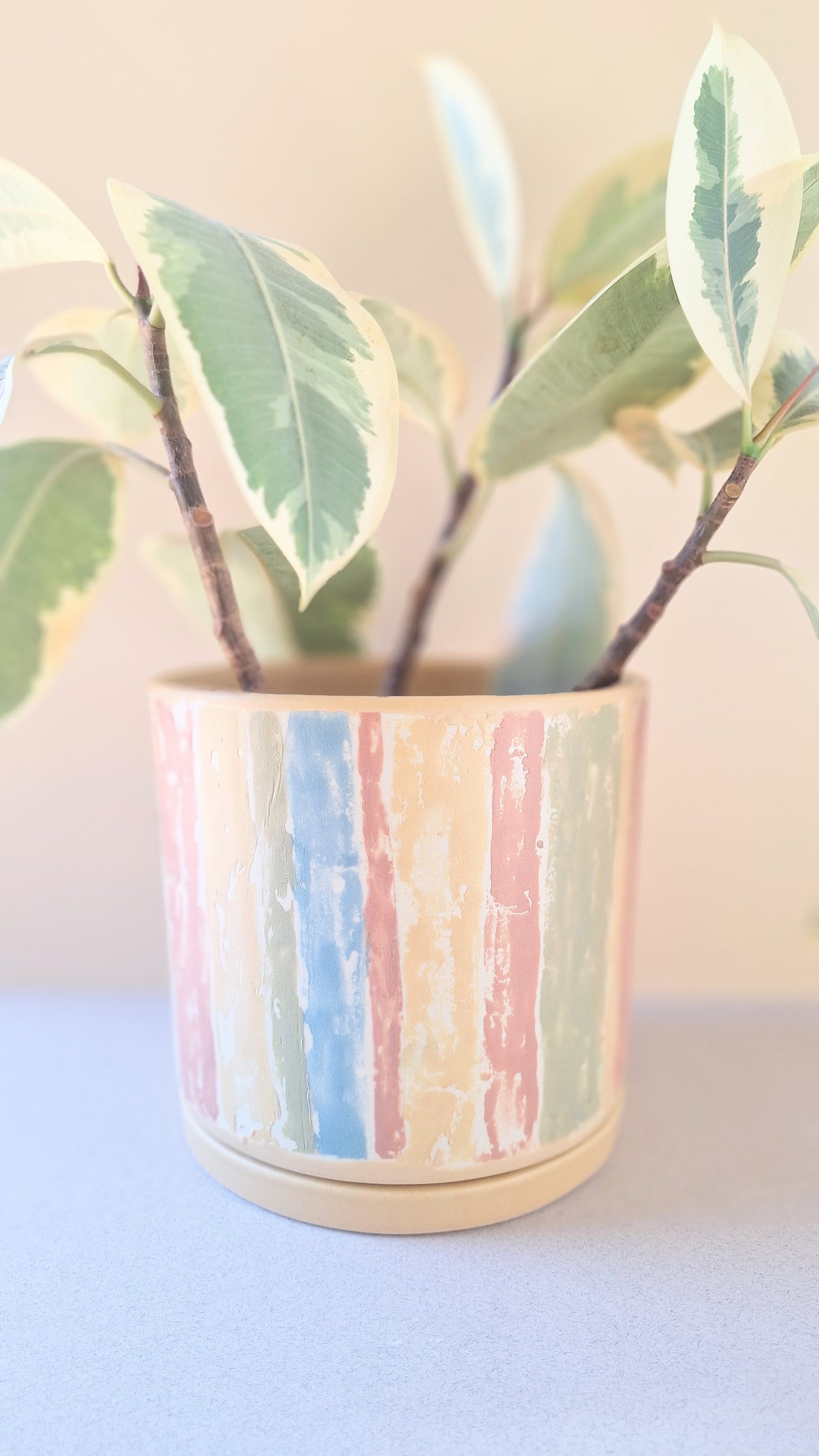 Large Monoprint Planter (Multi Stripe)