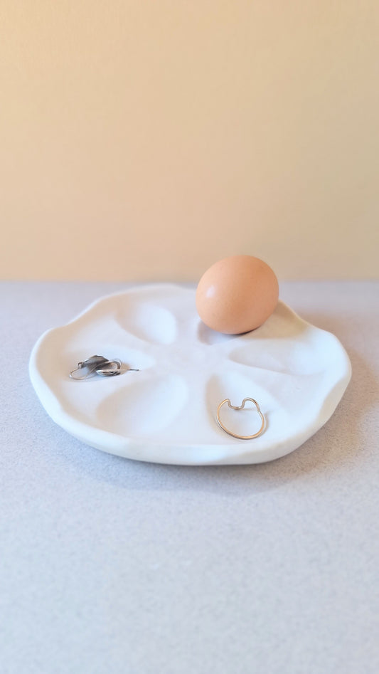 White Deviled Egg Dish