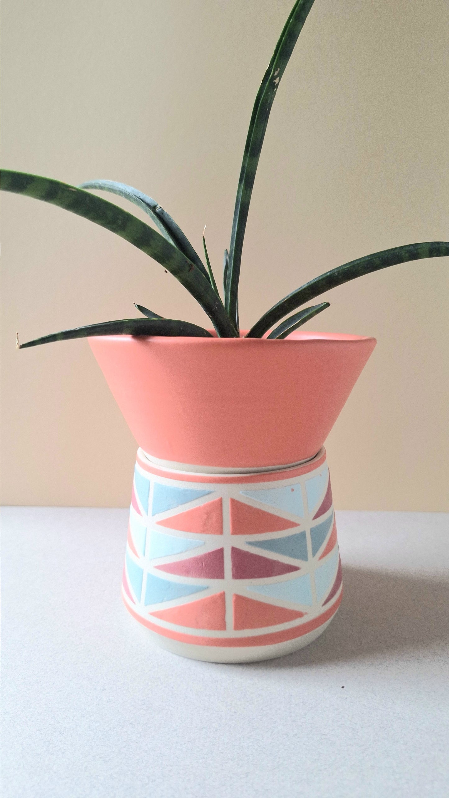Coral Wedge Angled Planter