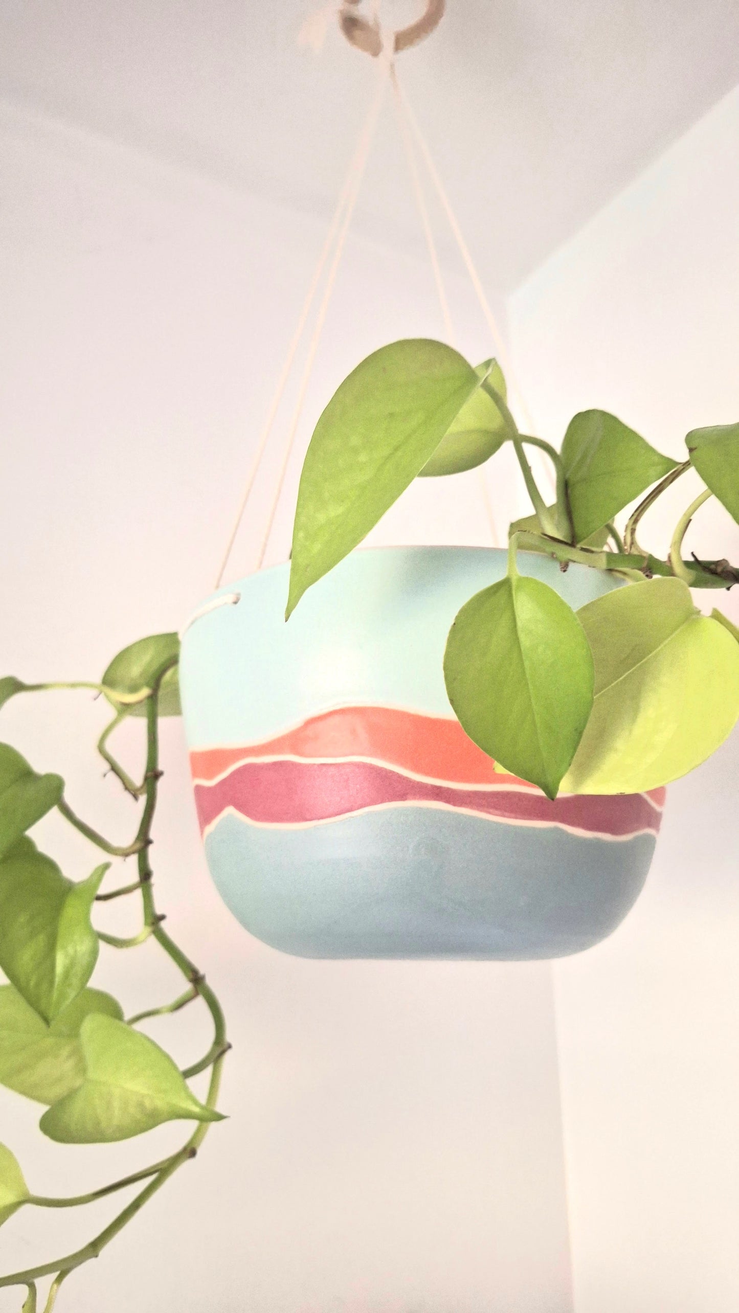 Landscape Hanging Planter