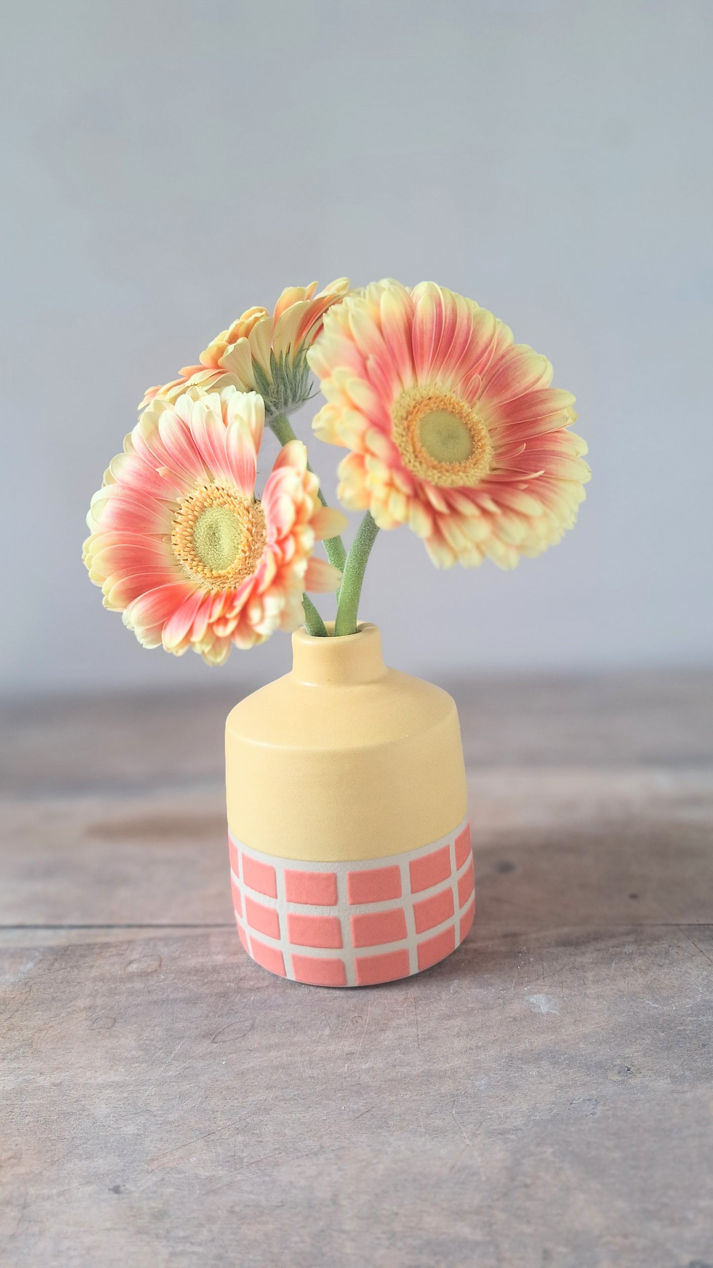 Yellow / Neon Coral Bud Vase