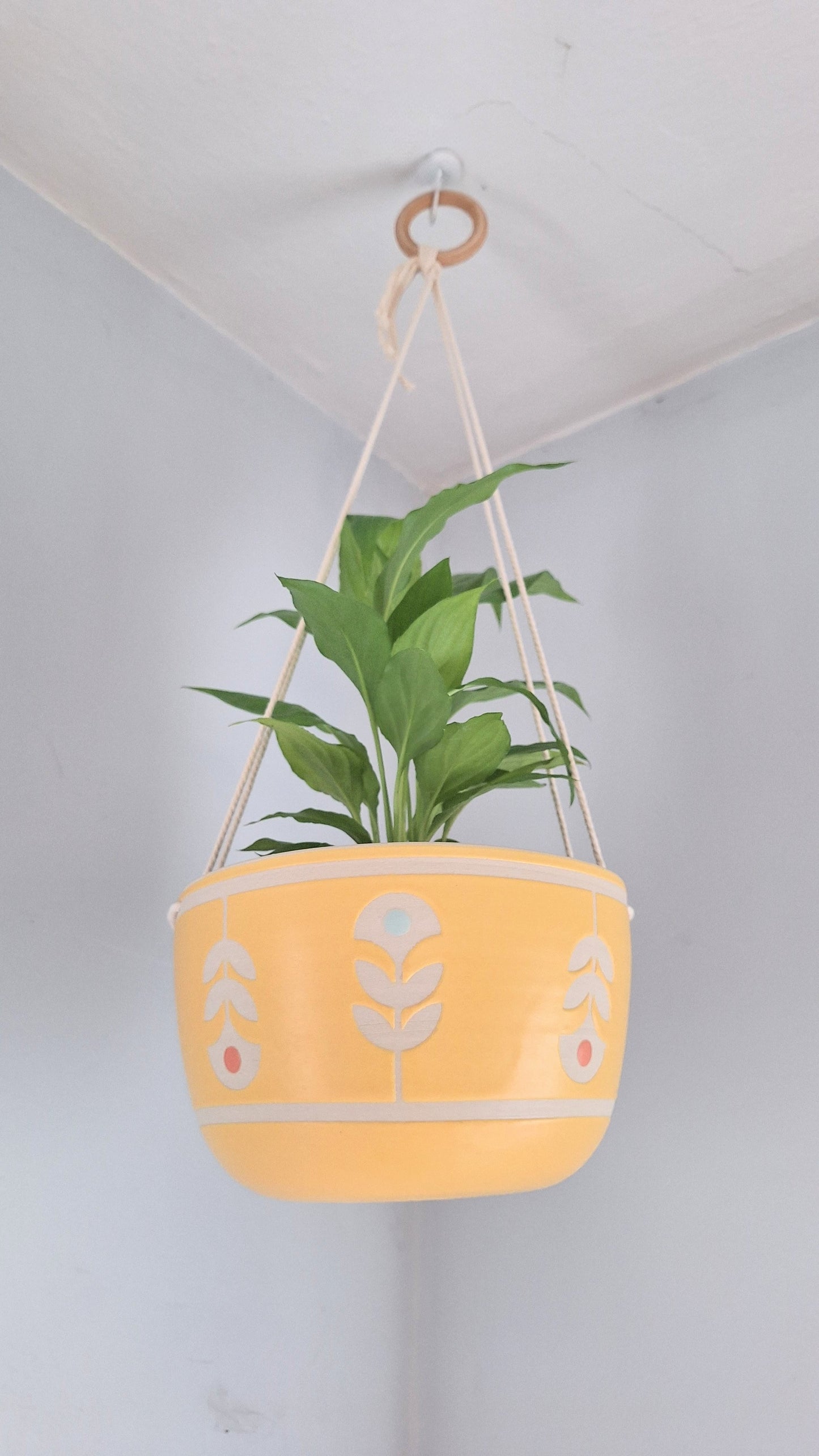 Yellow Folk Flower Hanging Planter
