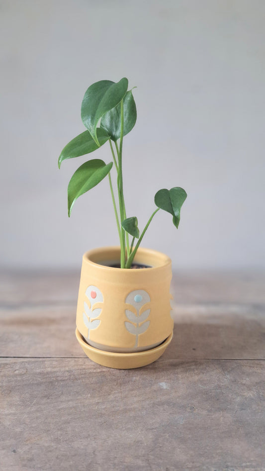 Wee Planter with Saucer - Yellow Folk Flower