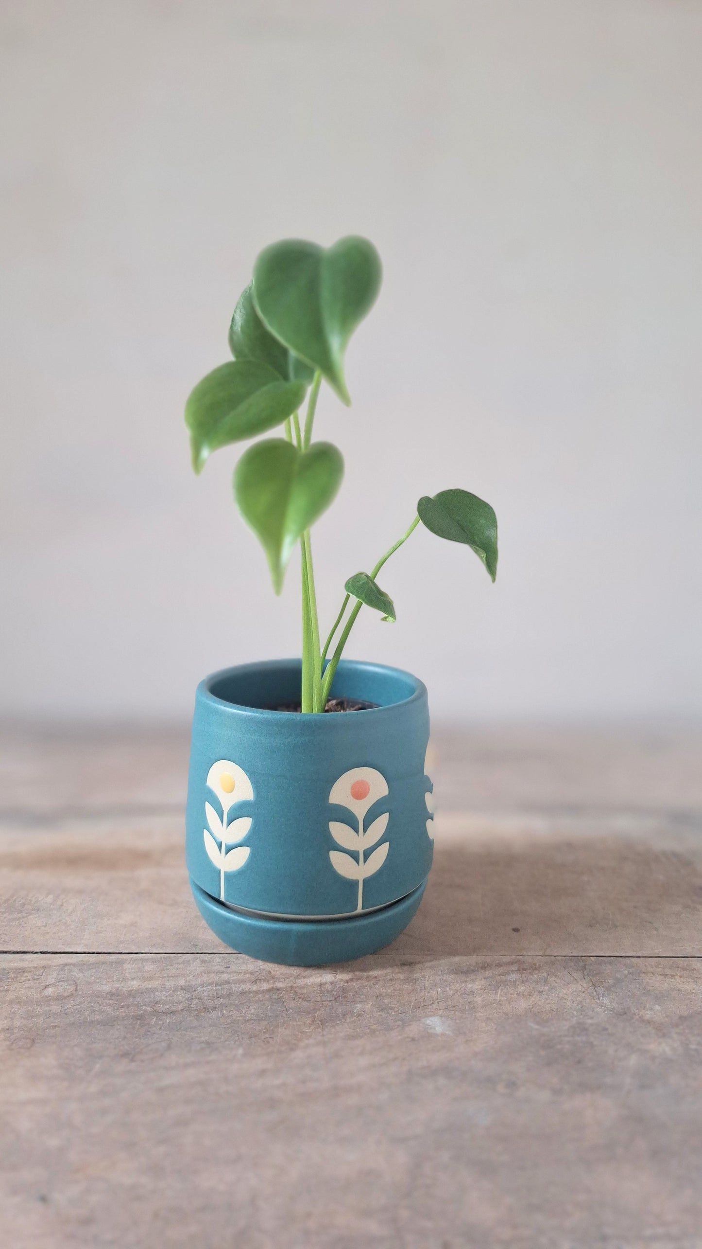 Wee Planter with Saucer - Teal Folk Flowers