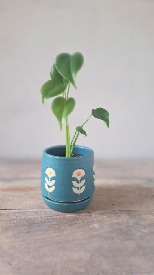 Wee Planter with Saucer - Teal Folk Flowers
