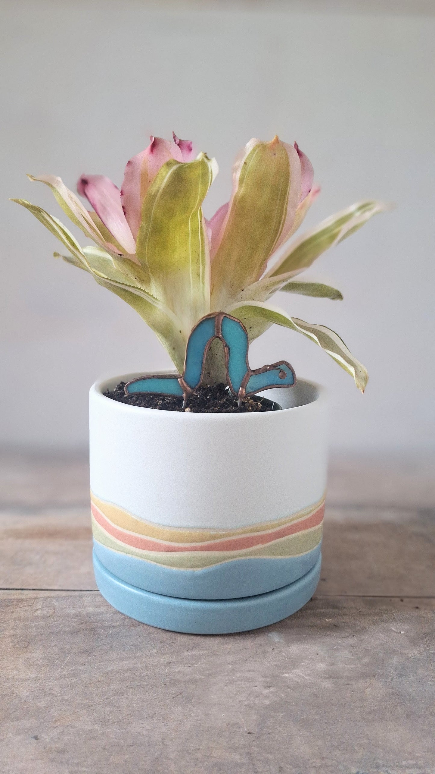 Inch Worm Plant Stake - Multiple Colors