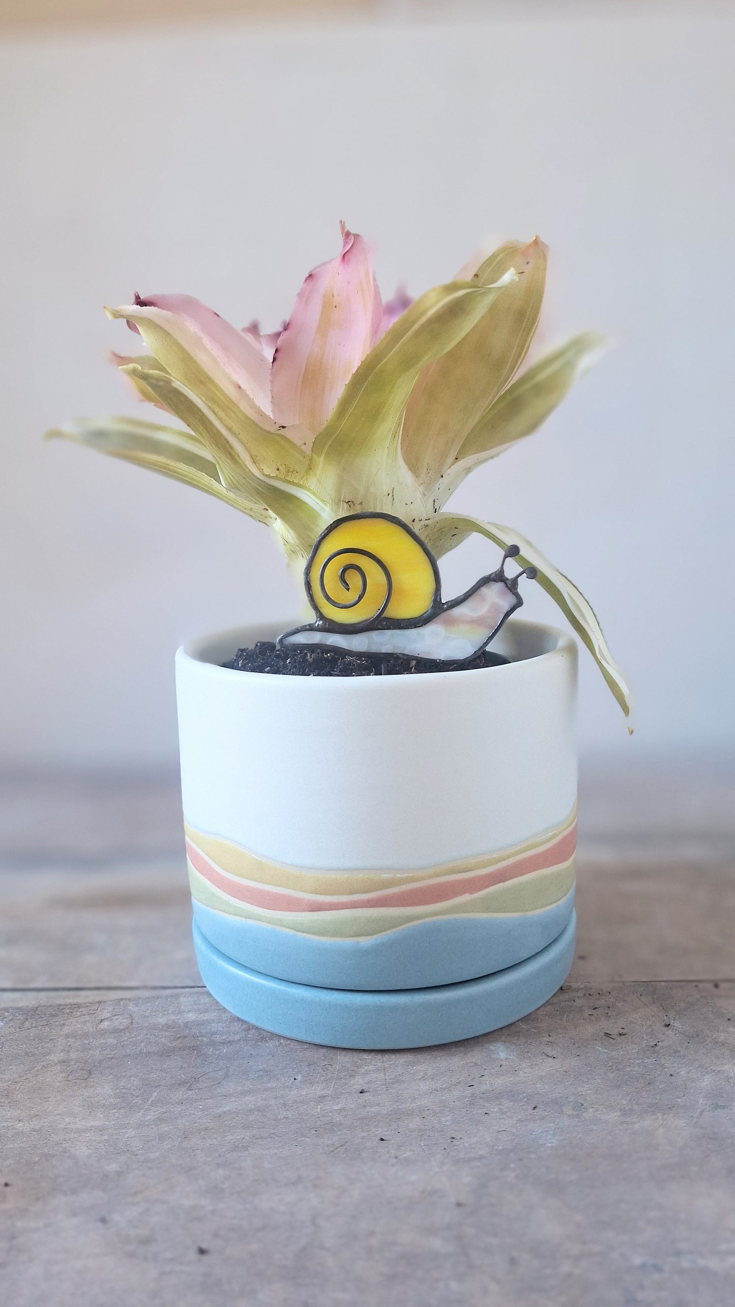 Snail Plant Stake - Multiple Colors