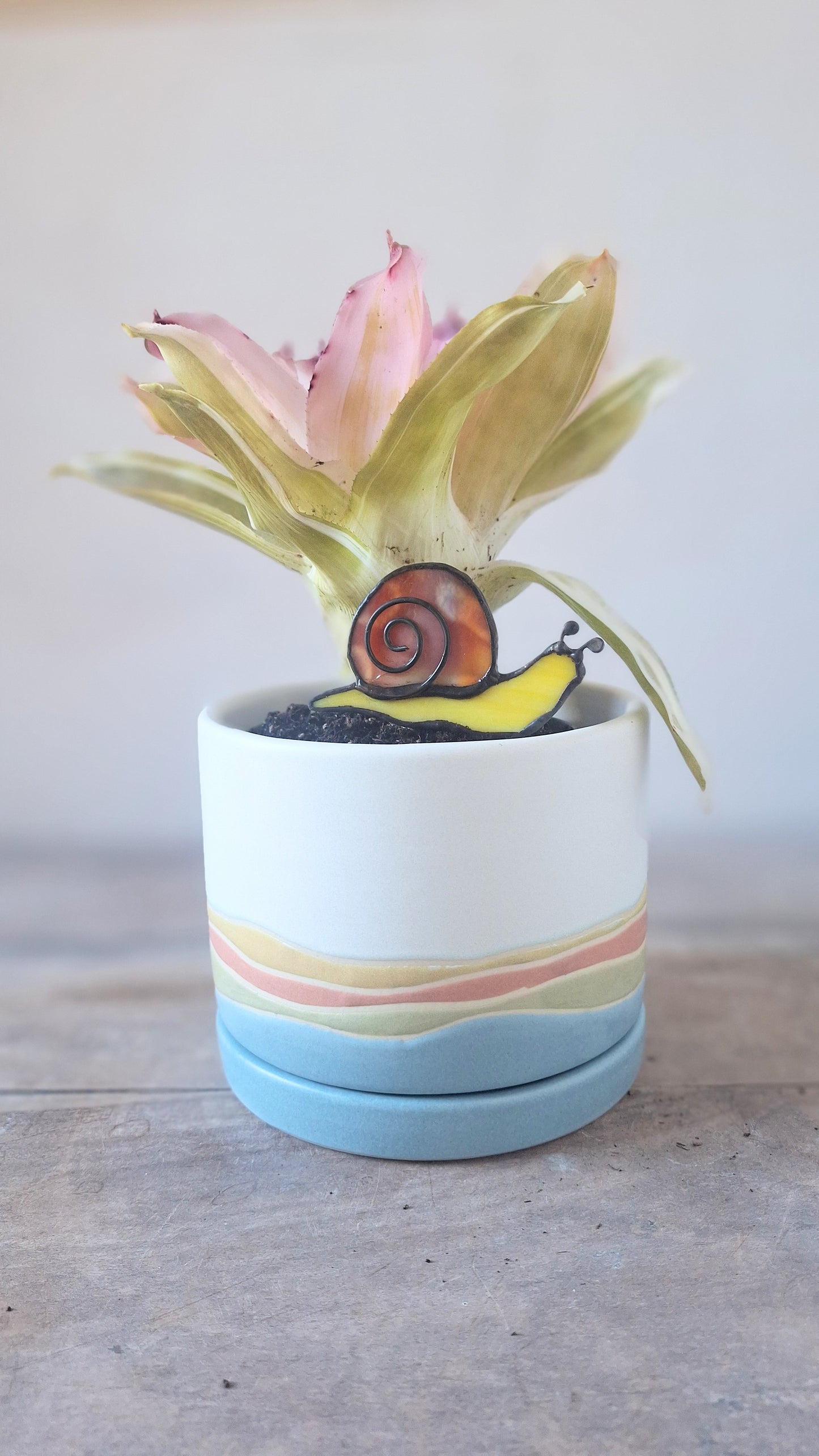 Snail Plant Stake - Multiple Colors