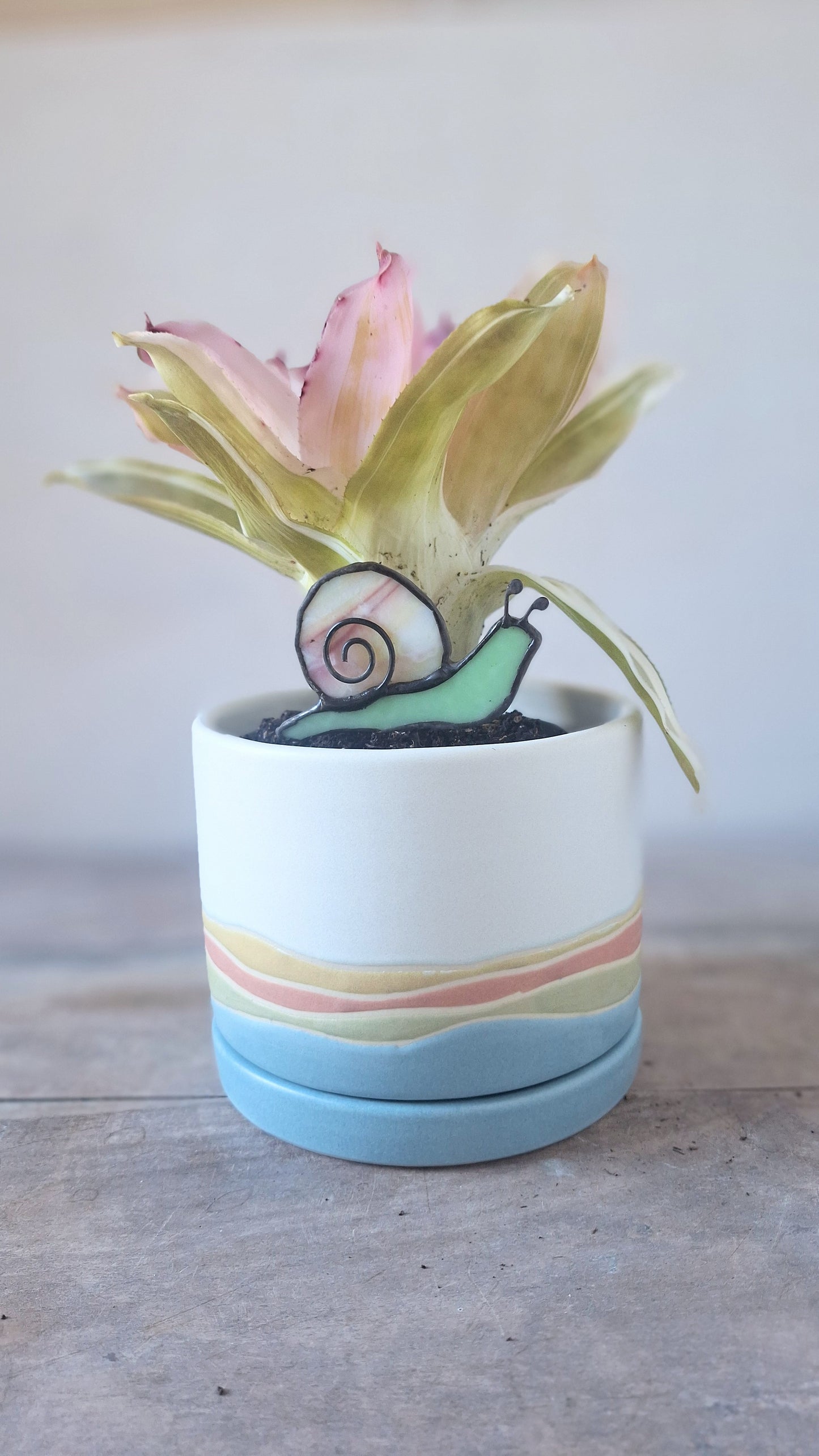Snail Plant Stake - Multiple Colors