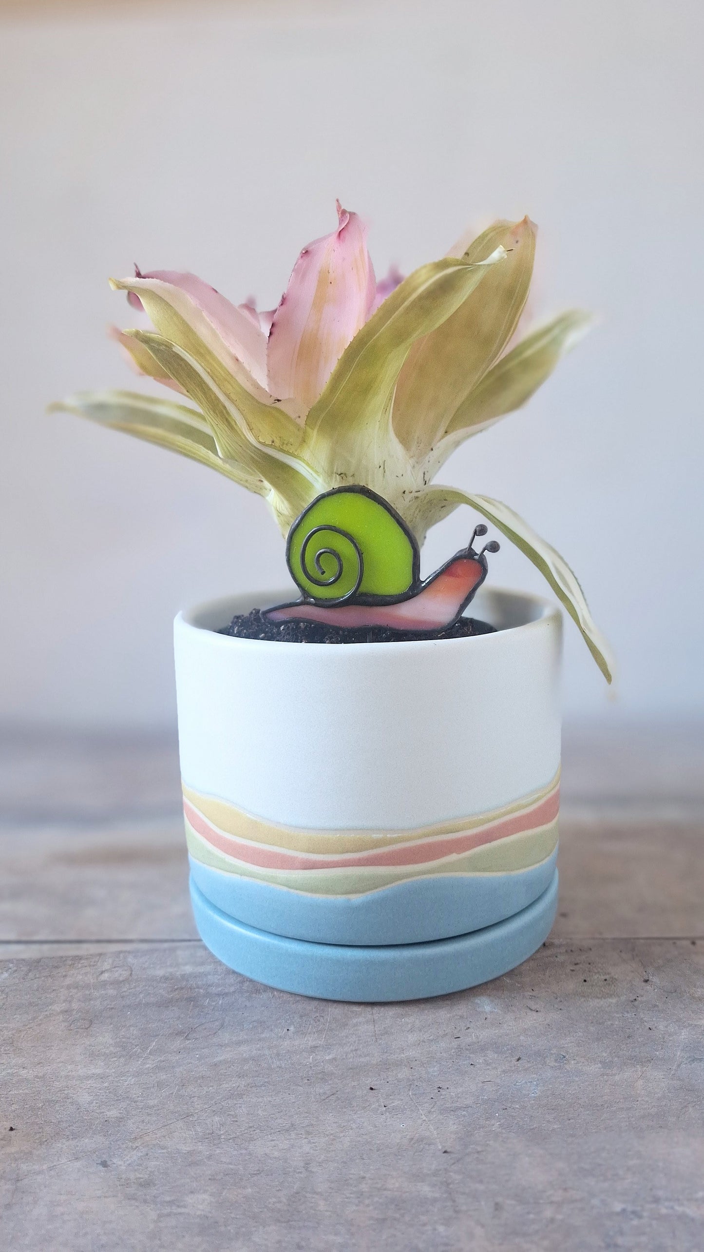 Snail Plant Stake - Multiple Colors