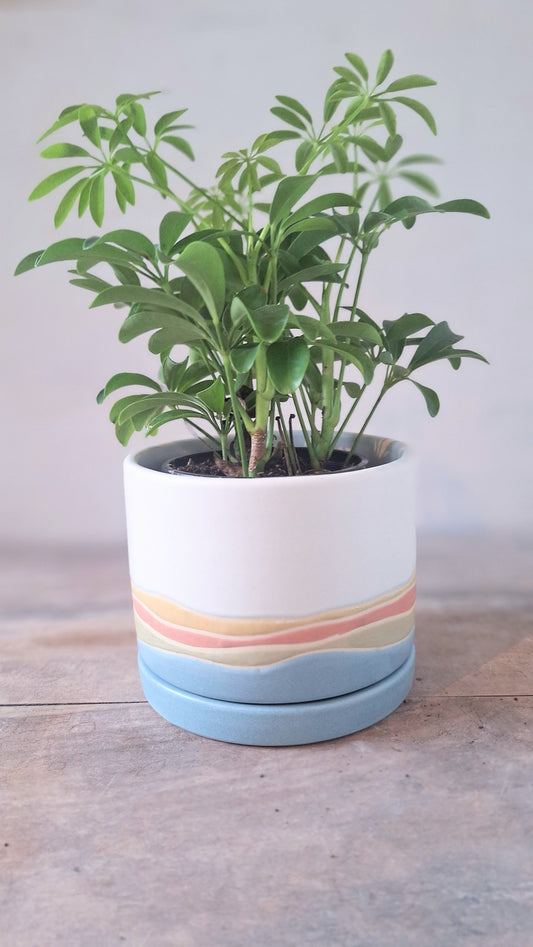Small Landscape Planter